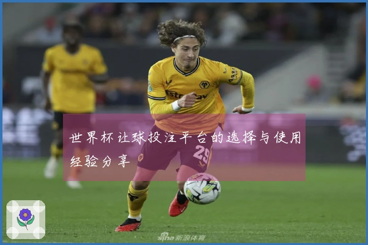 世界杯让球投注平台的选择与使用经验分享