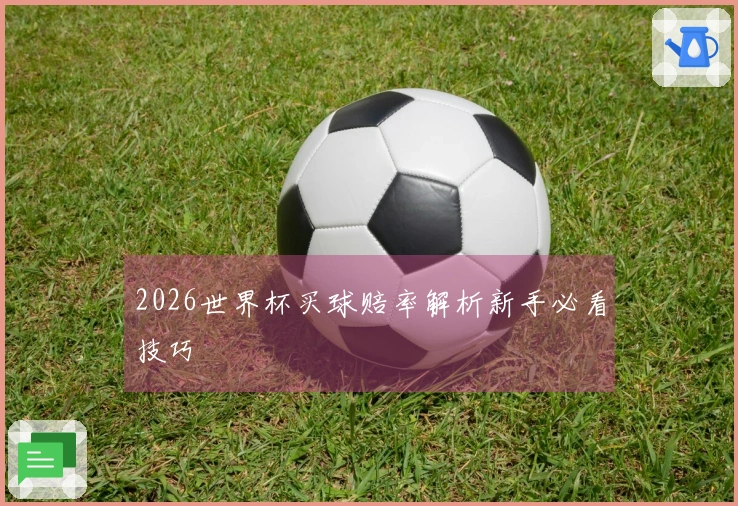 2026世界杯买球赔率解析新手必看技巧