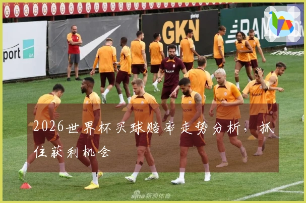 2026世界杯买球赔率走势分析，抓住获利机会