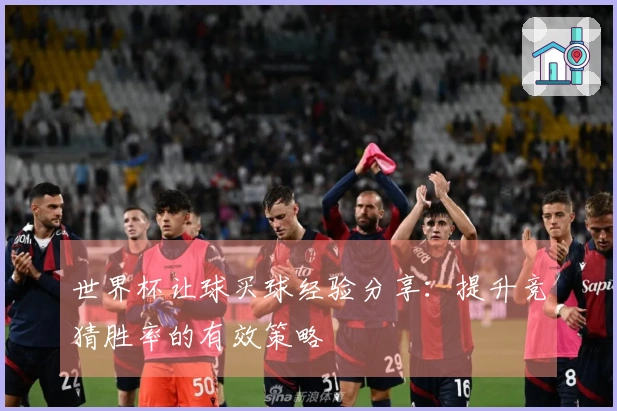 世界杯让球买球经验分享：提升竞猜胜率的有效策略
