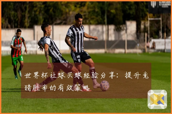 世界杯让球买球经验分享：提升竞猜胜率的有效策略