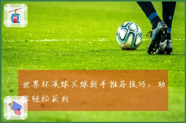 世界杯滚球买球新手推荐技巧，助你轻松获利