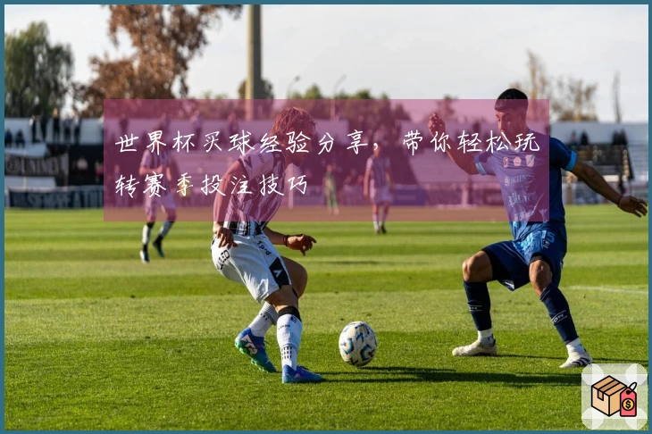 世界杯买球经验分享，带你轻松玩转赛季投注技巧