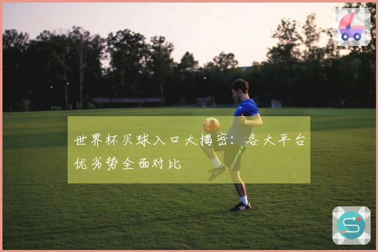 世界杯买球入口大揭密：各大平台优劣势全面对比
