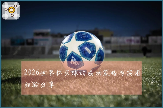2026世界杯买球的成功策略与实用经验分享