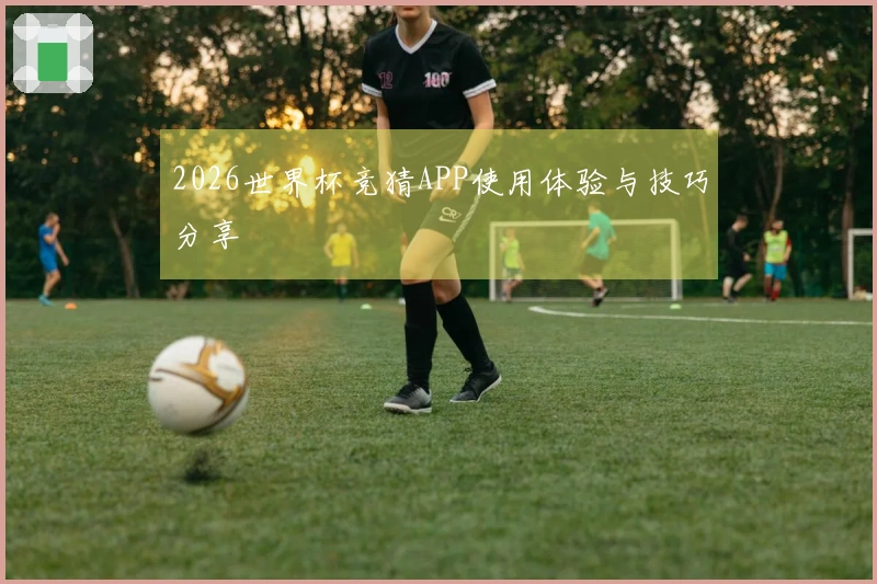 2026世界杯竞猜APP使用体验与技巧分享
