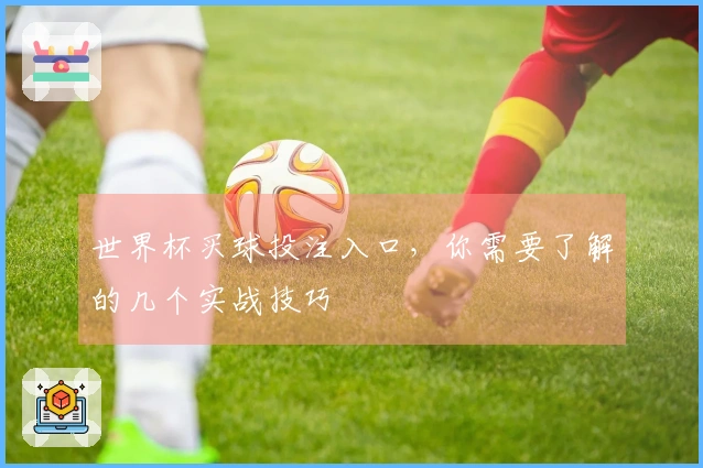 世界杯买球投注入口，你需要了解的几个实战技巧