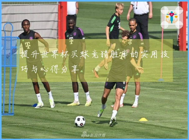 提升世界杯买球竞猜胜率的实用技巧与心得分享