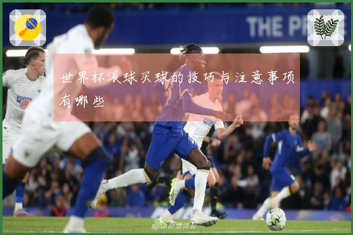 世界杯滚球买球的技巧与注意事项有哪些