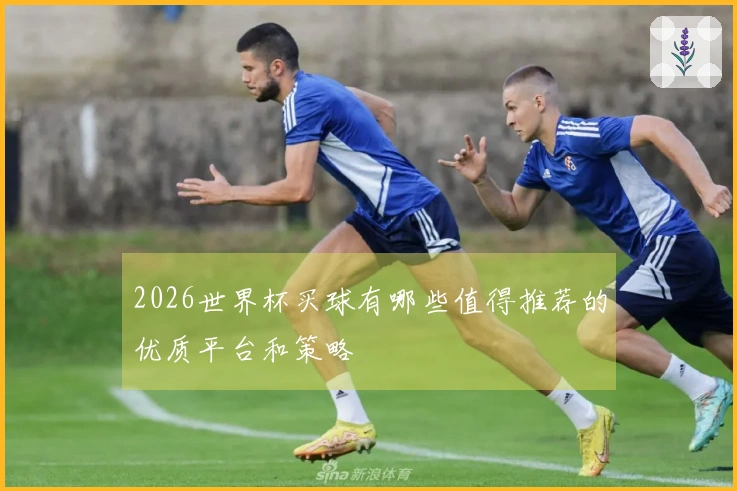 2026世界杯买球有哪些值得推荐的优质平台和策略