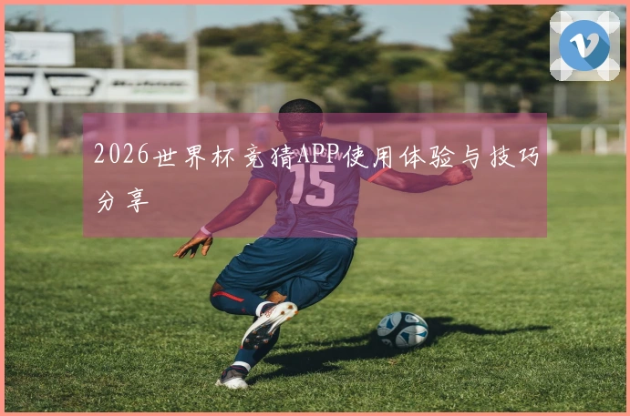 2026世界杯竞猜APP使用体验与技巧分享