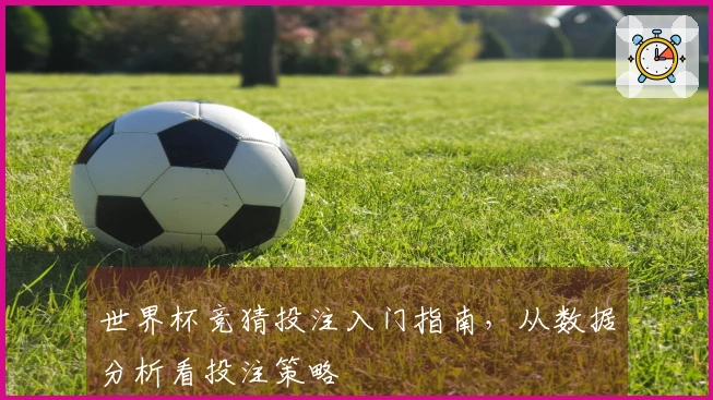 世界杯竞猜投注入门指南，从数据分析看投注策略