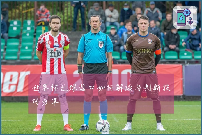 世界杯让球盘口如何解读与判断技巧分享